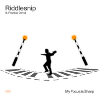 Riddlesnip - Focus